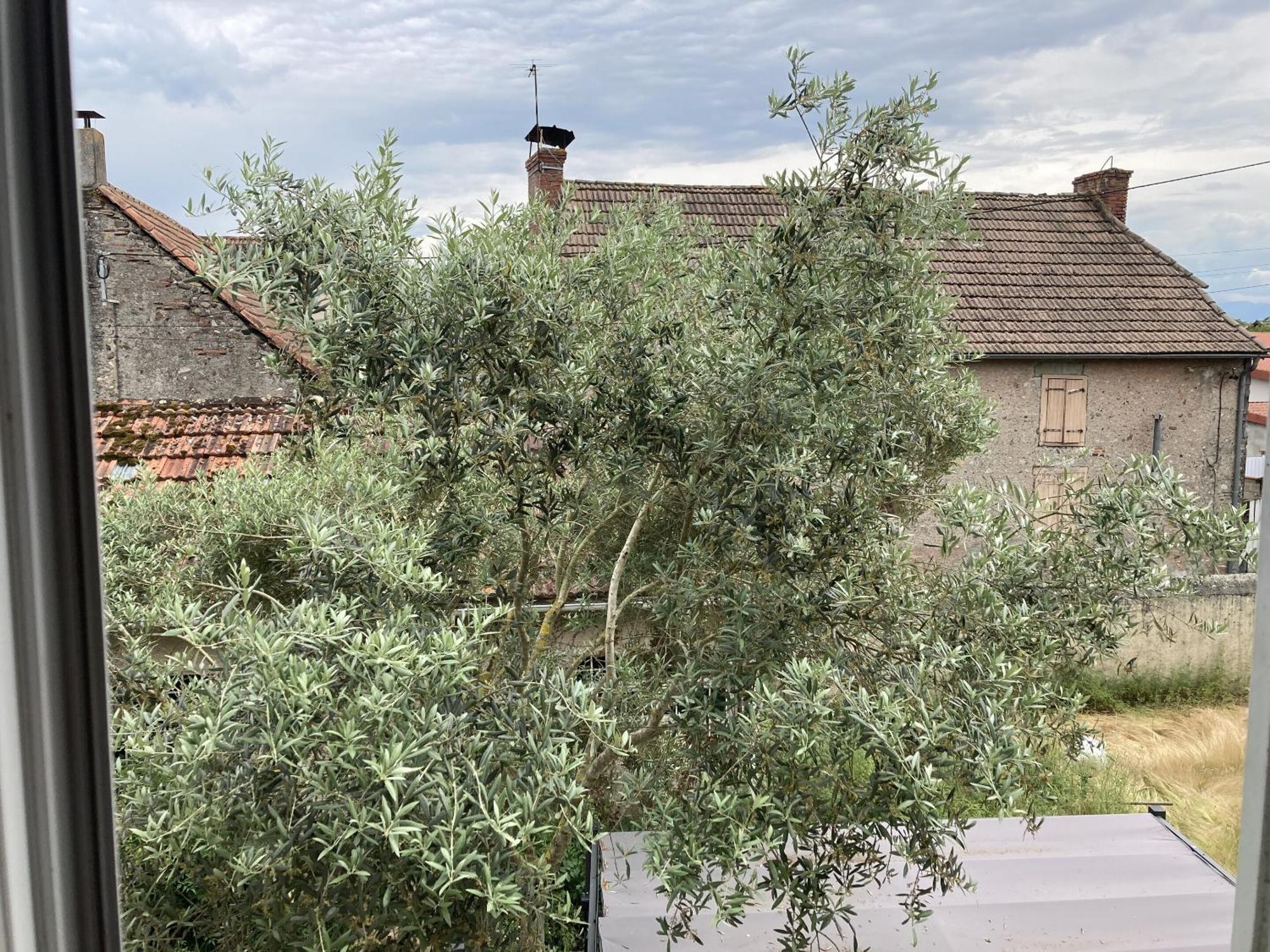 Location Appartement Des Pyrenees Borderes-sur-l'Echez Cameră foto